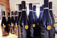 STEBUC : les vins bios, les bulles… on démystifie!